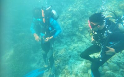 TUK Akademi Komunitas Wakatobi laksanakan Kegiatan Uji Kompetensi